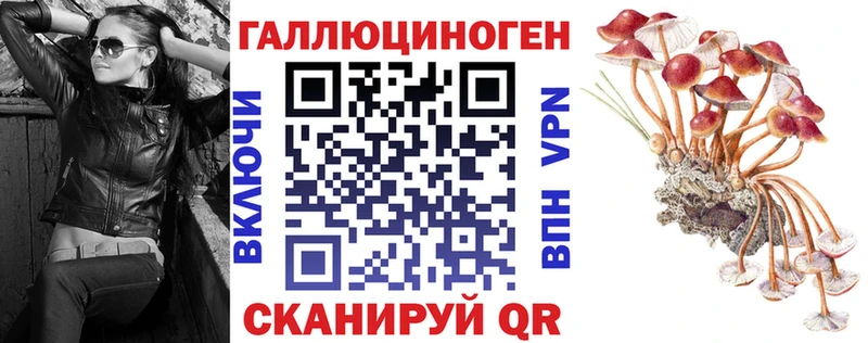 где найти наркотики hydra маркетплейс Псилоцибиновые грибы прущие грибы Донецк